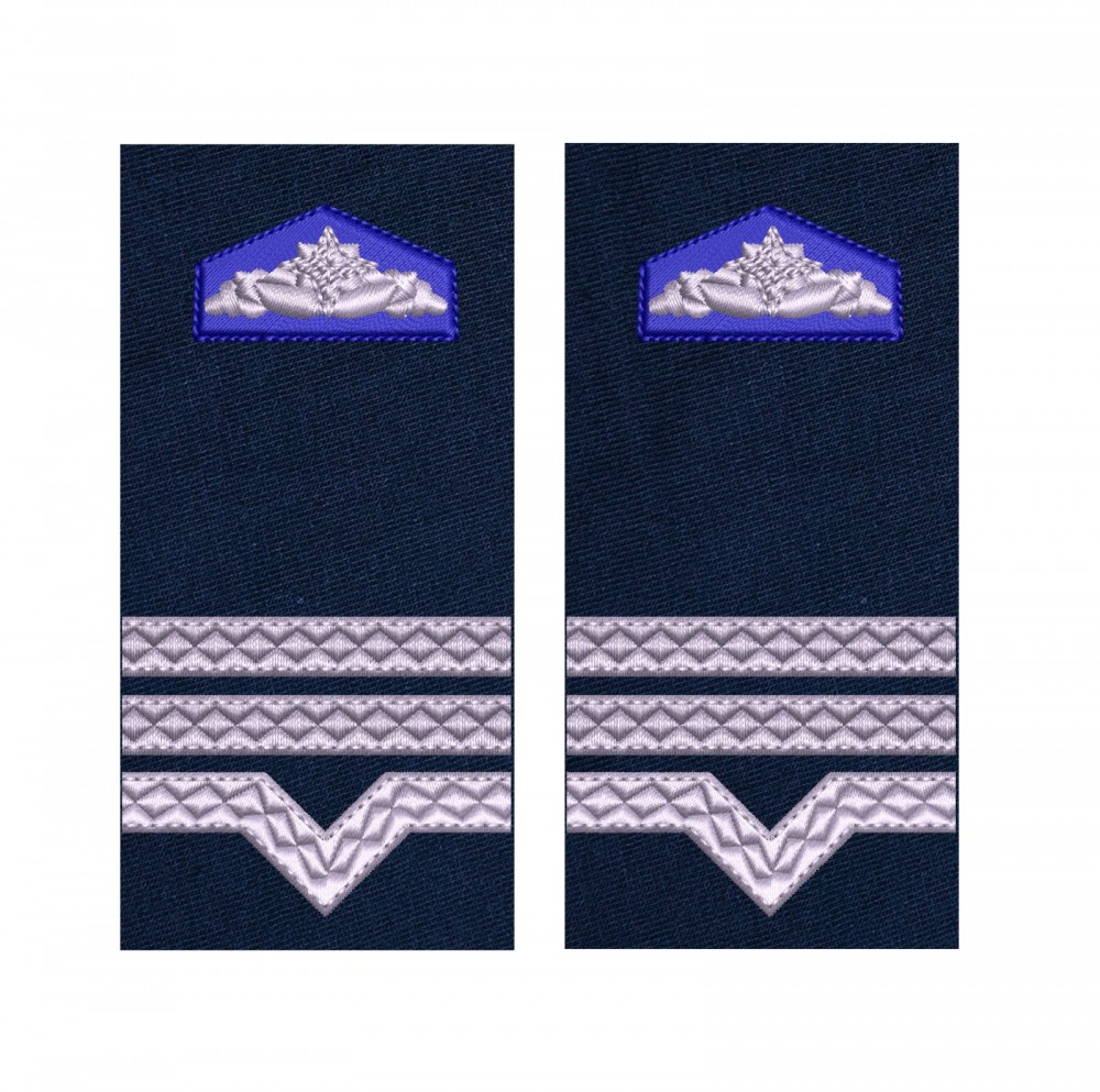 GRADE MAISTRU MILITAR CLASA 3 SRI